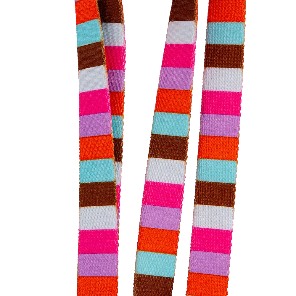 20" Multi Stripe Grooming Loop by Loop Dawgy Dawg