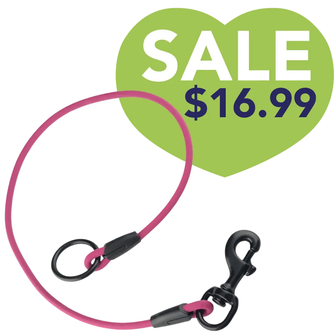 26" Magenta Tub Loop by PetStore.Direct