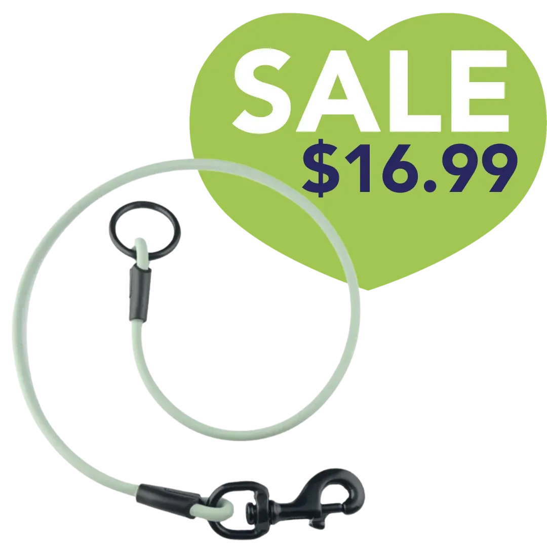 30" Sage Green Tub Loop by PetStore.Direct