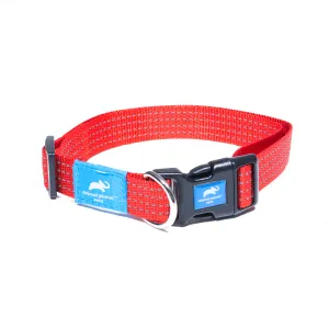 Animal Planet Classic Collar