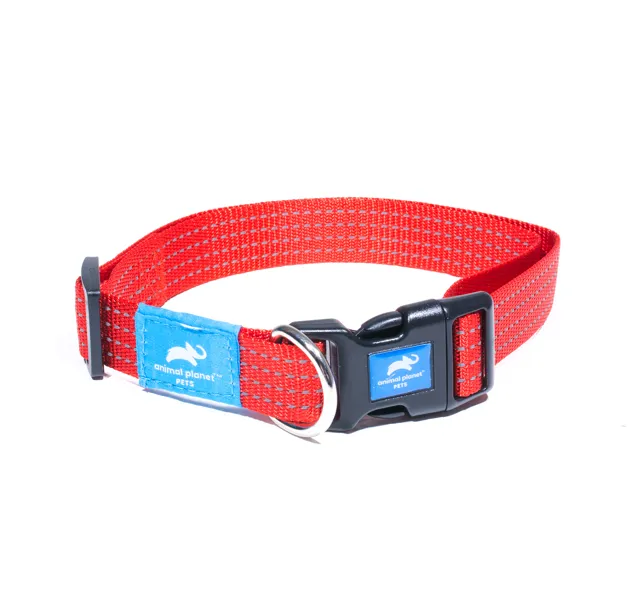 Animal Planet Classic Collar
