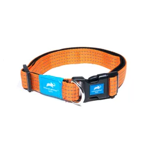 Animal Planet Premium Padded Collar