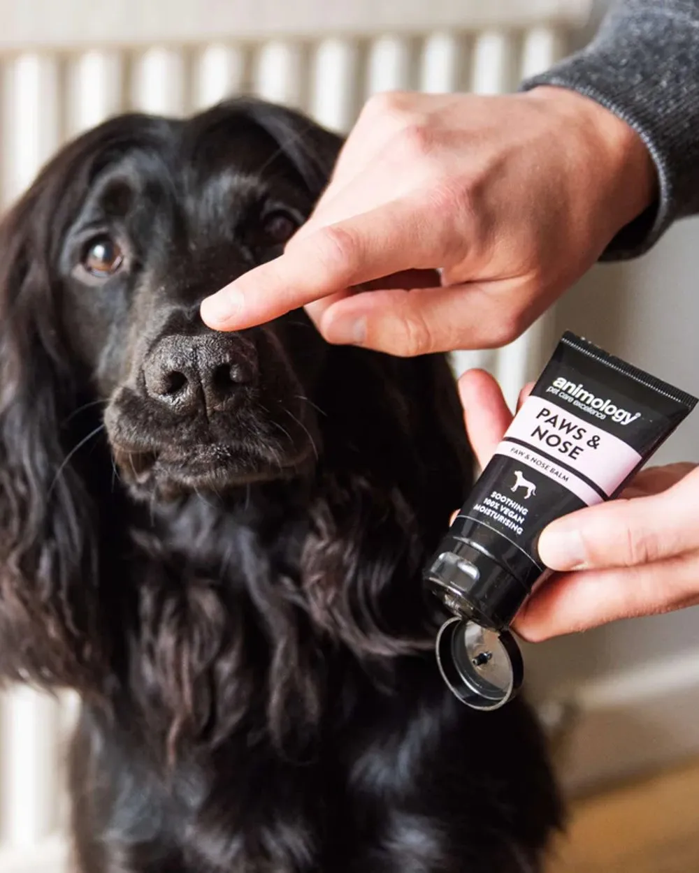 Animology Paw and Nose Balm 50ml