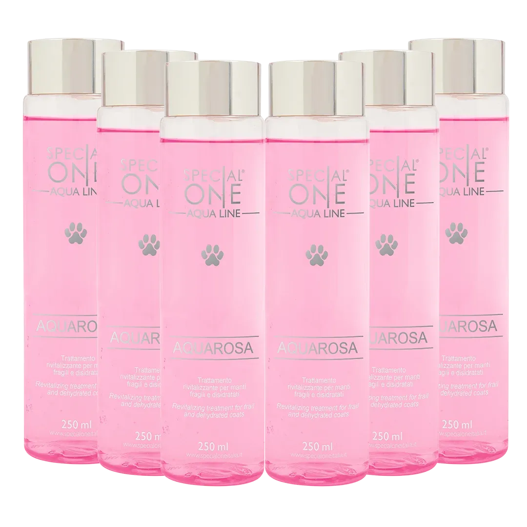 Aquarosa Shampoo Box of 6 250 ml by Special One