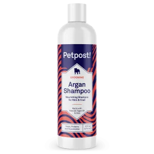 Argan Shampoo