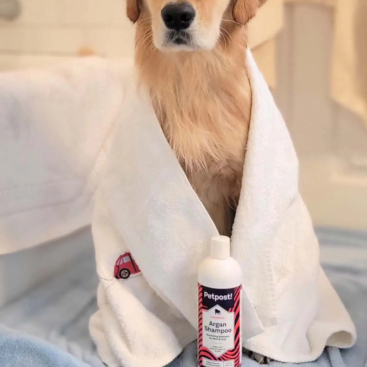 Argan Shampoo