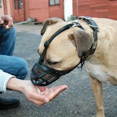 Baskerville Ultra Dog Muzzle
