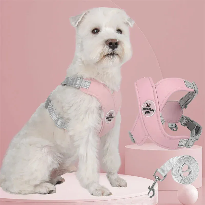 Breathable Mesh Dog Harness Vest with Reflective Leash Set for Small to Medium Dogs and Cats