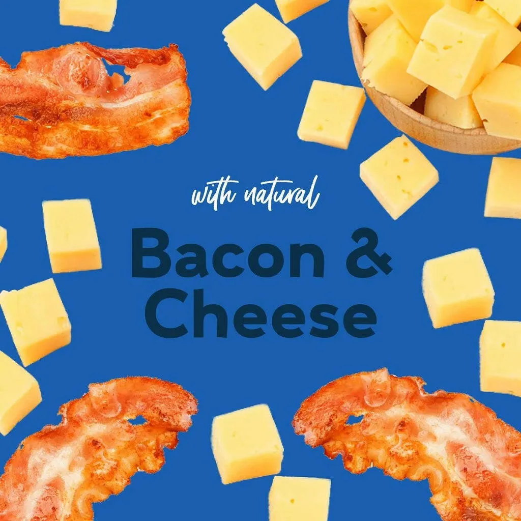 Buddy Biscuits Oven Baked Crunchy Bacon & Cheese Dog Treats