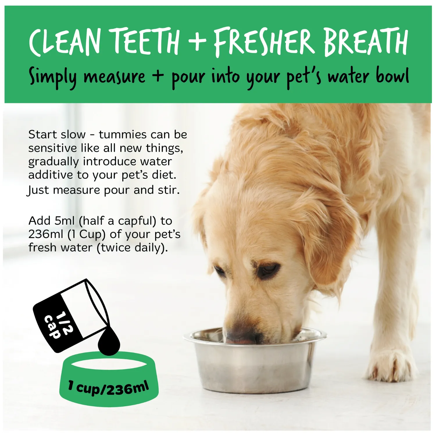 Dental Care Solution Water Additive for Dogs & Cats