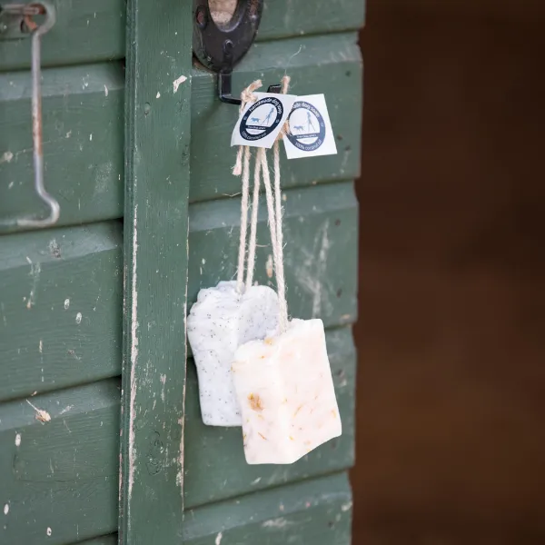 Dog and horse soap and shampoo bar