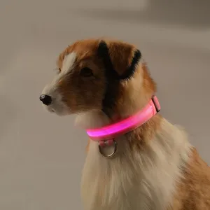 DOGBABY | Collar nocturno para mascota LED |