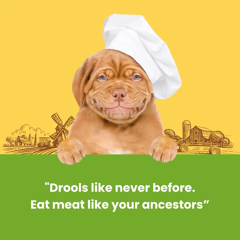 Dogfest Chicken Tenders Treats for Dogs (Limited Shelf Life)