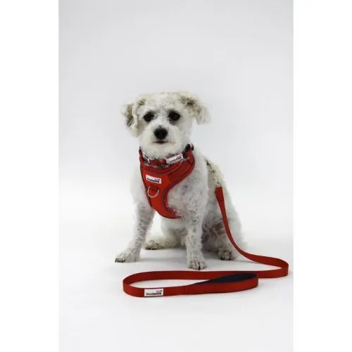 Doodlebone Adjustable Airmesh Dog Harness Pumpkin Size 3-5