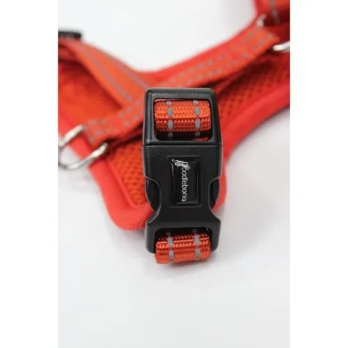 Doodlebone Adjustable Airmesh Dog Harness Pumpkin Size 3-5