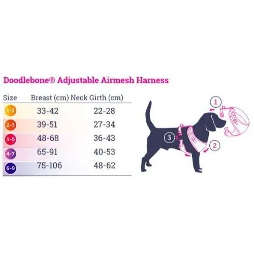 Doodlebone Adjustable Airmesh Dog Harness Pumpkin Size 3-5