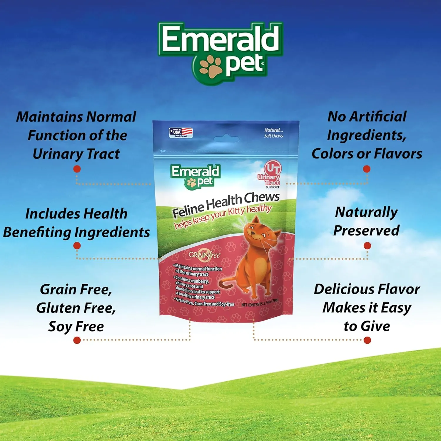Emerald Pet Feline Health Chews Urinary Tract Support