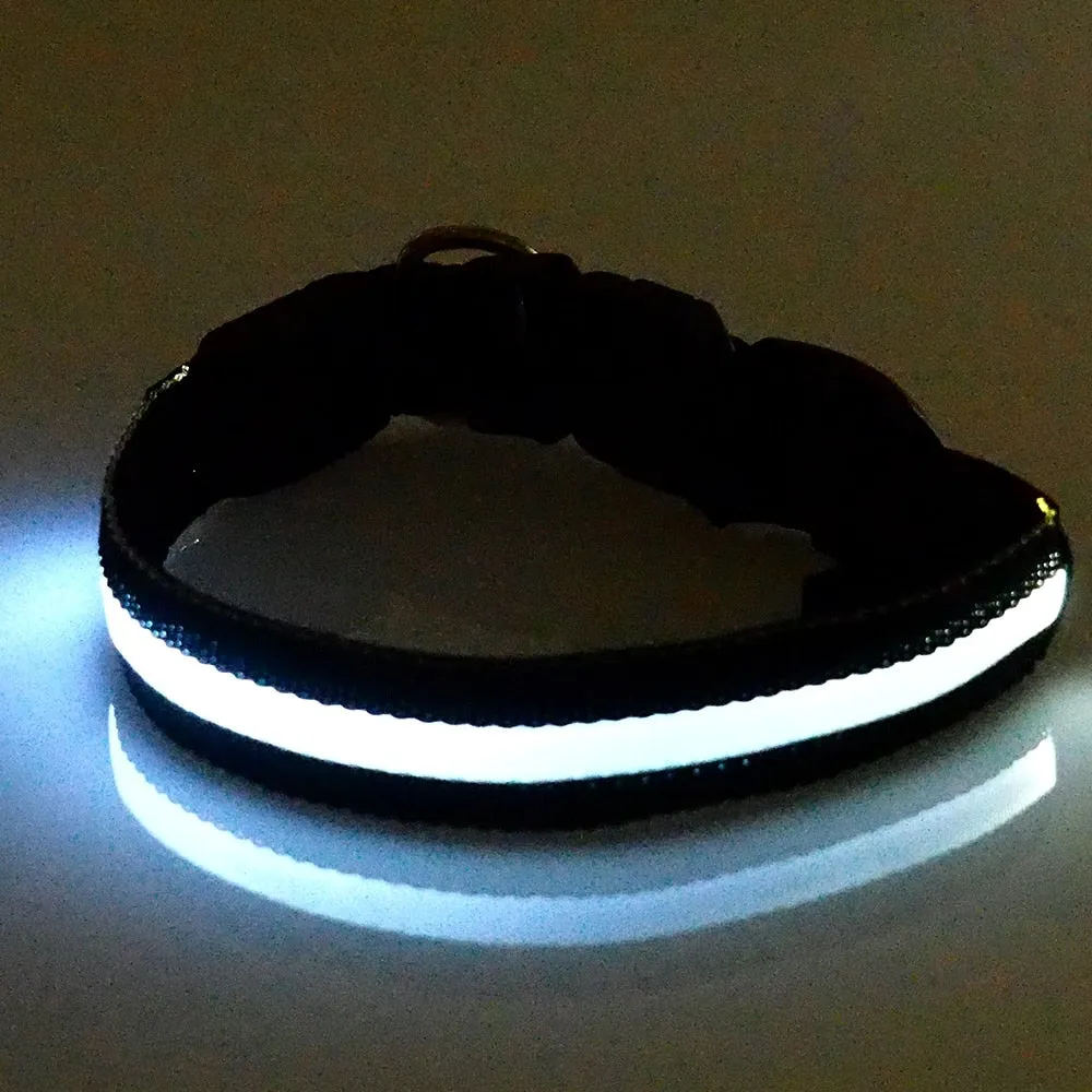 Flashing Luminous Collar