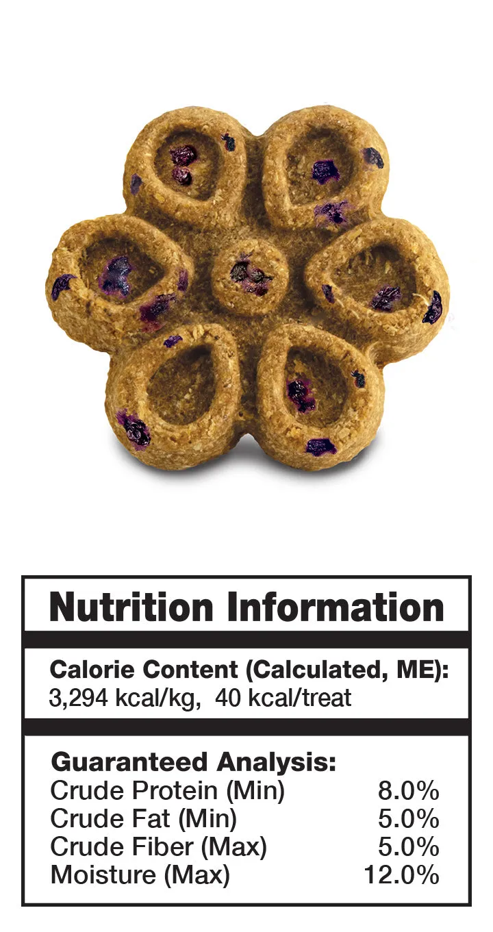 Fruitables Dog Biggies Pumpkin & Blueberry 454 g