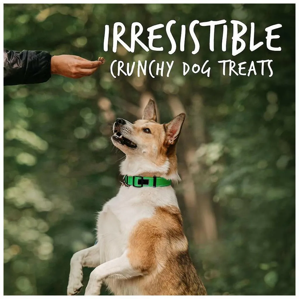 Fruitables Pumpkin & Apple Flavor Baked Dog Treats (7 oz)