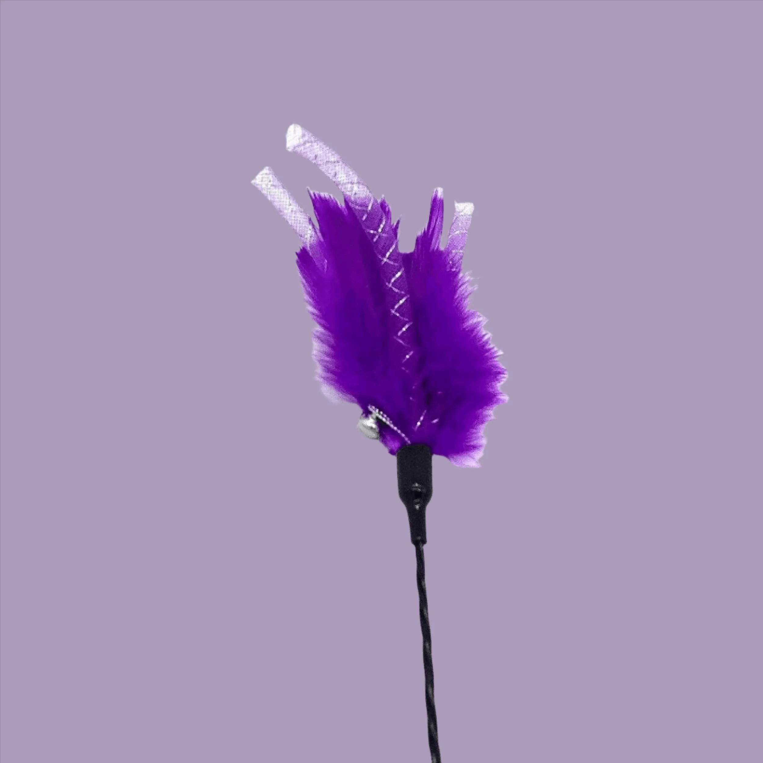 FurPrize! Get your Swirl on,  Feather Cat Wand Teaser