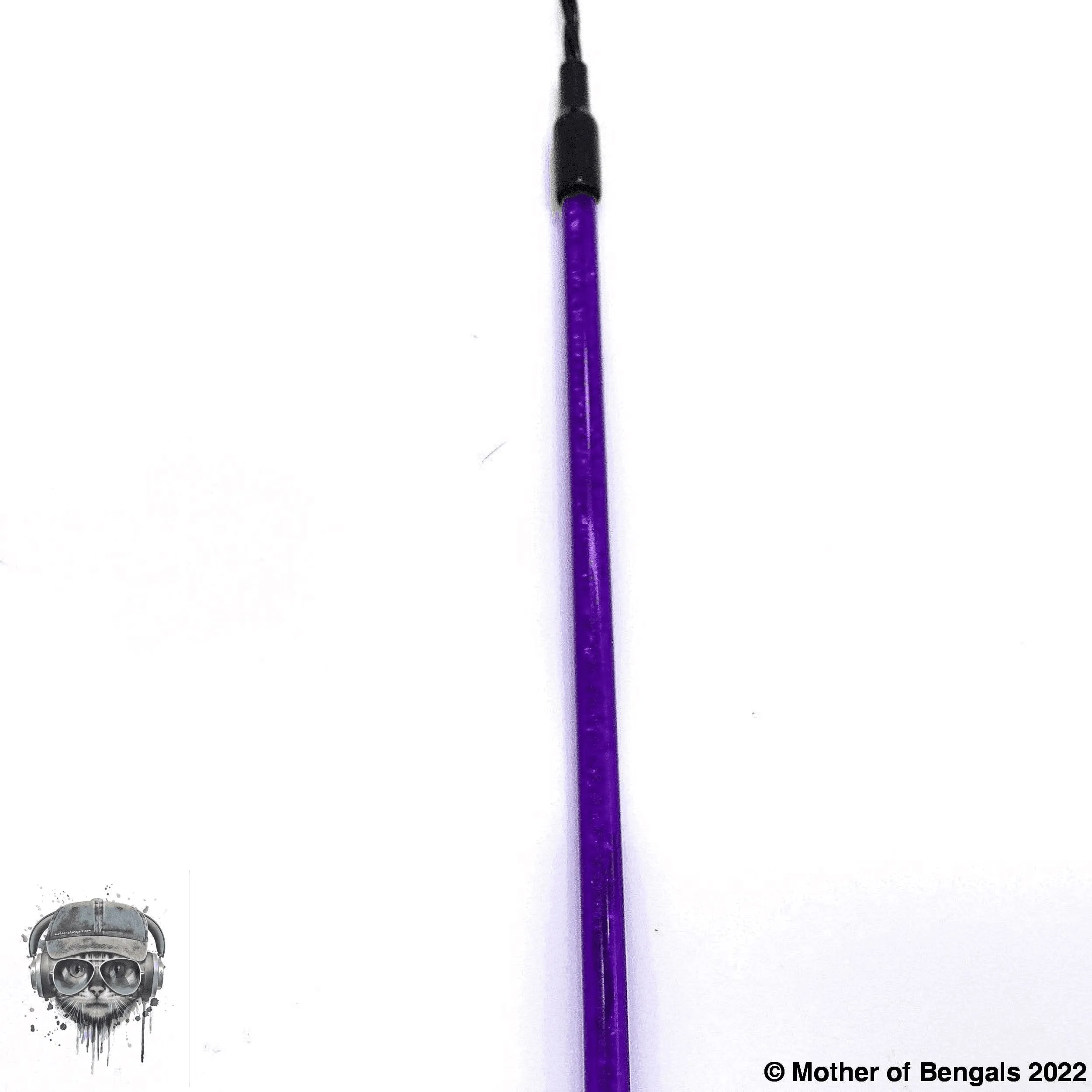 FurPrize! Get your Swirl on,  Feather Cat Wand Teaser