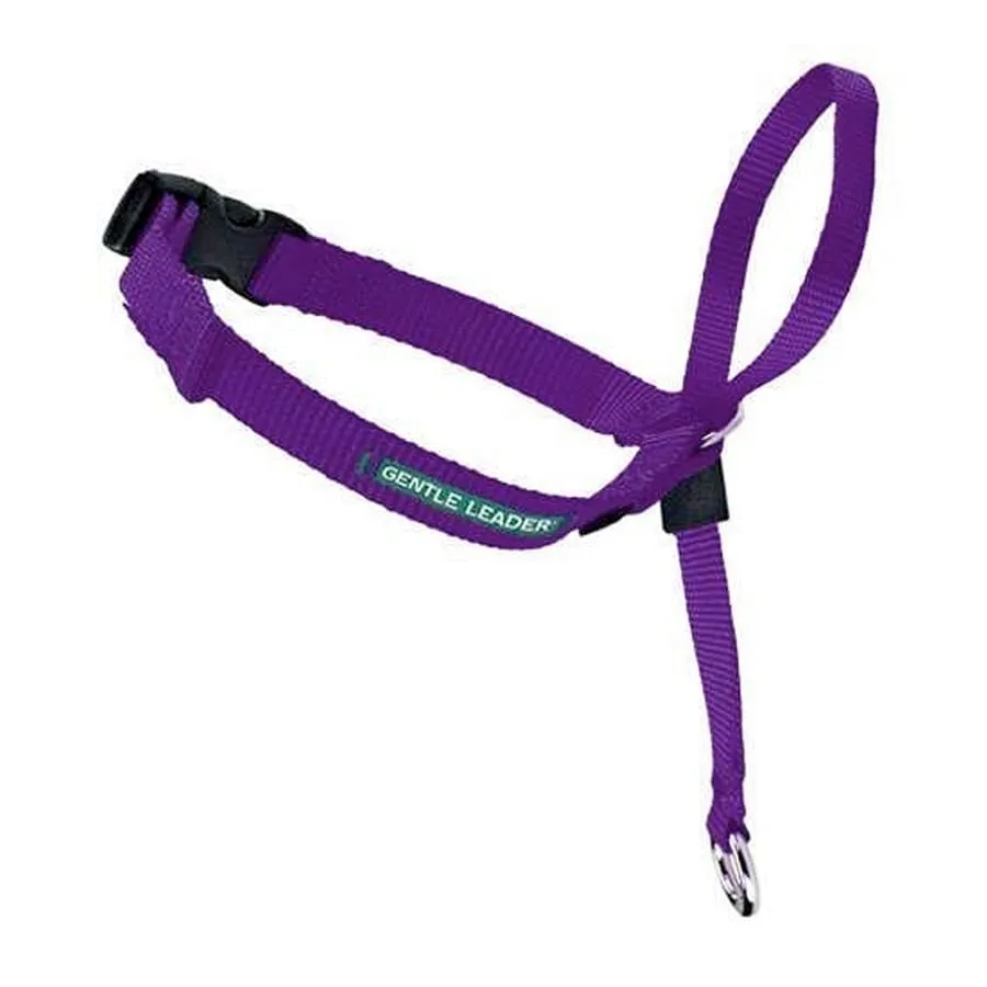 Gentle Leader Headcollar Purple