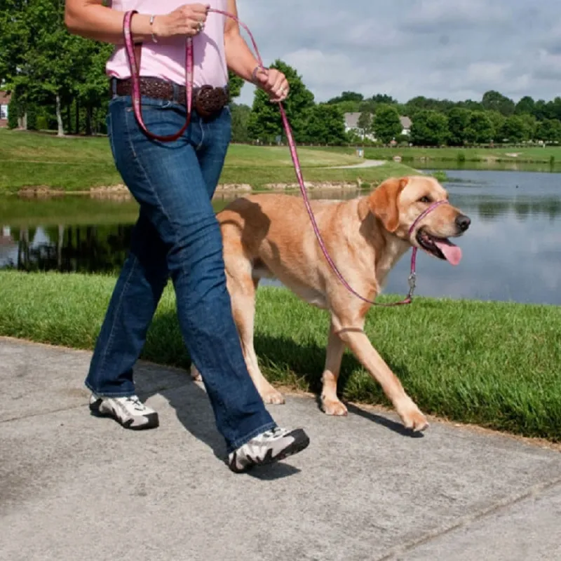 Gentle Leader Headcollar Red