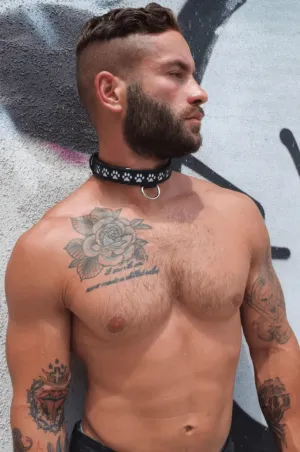 GLOW PUP COLLAR MULTI SELECTIVE ONE SIZE
