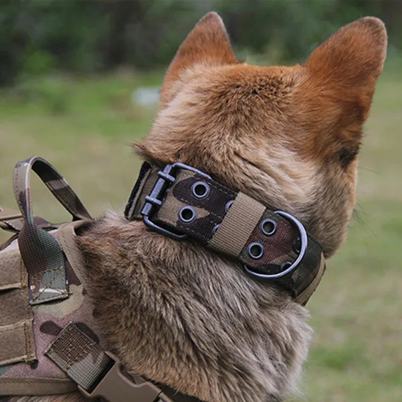 Heavy Duty Tactical Dog Collar – Adjustable Reflective Military-Grade Nylon for Training and Protection