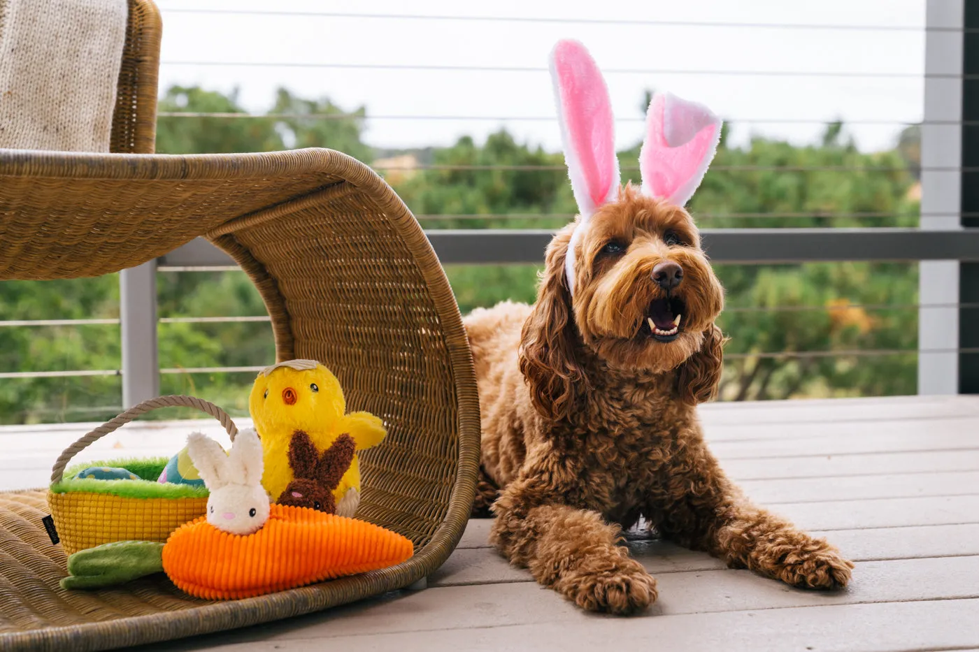 Hippity Hoppity Collection
