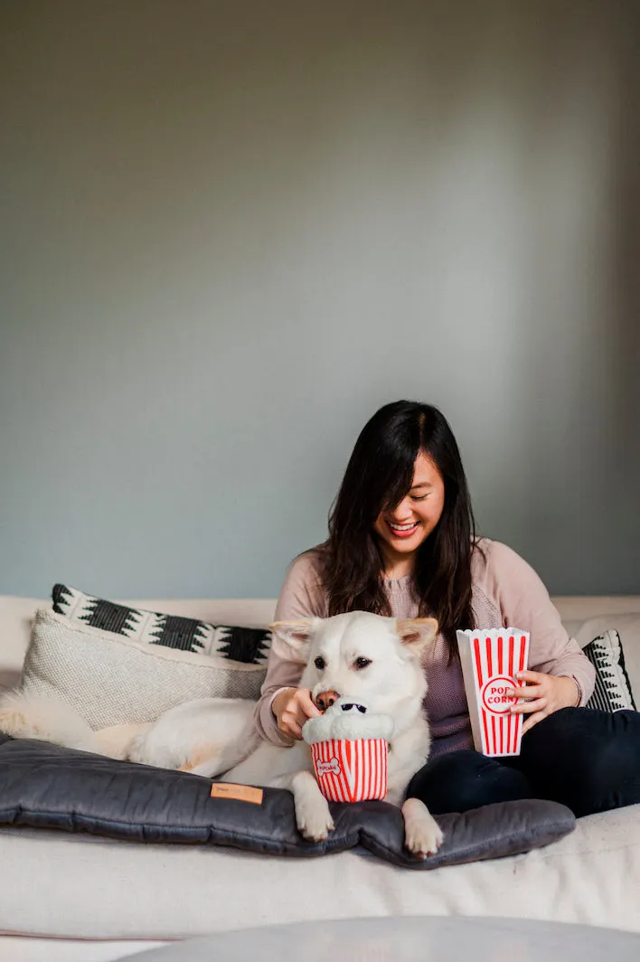 Hollywoof Cinema Collection