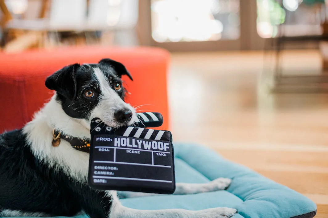 Hollywoof Cinema Collection