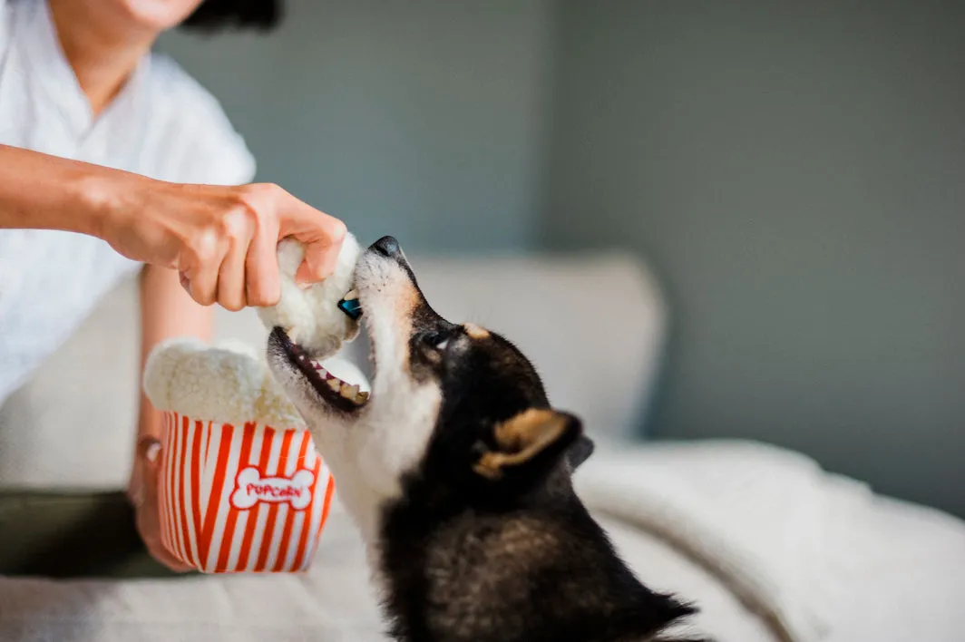 Hollywoof Cinema Collection