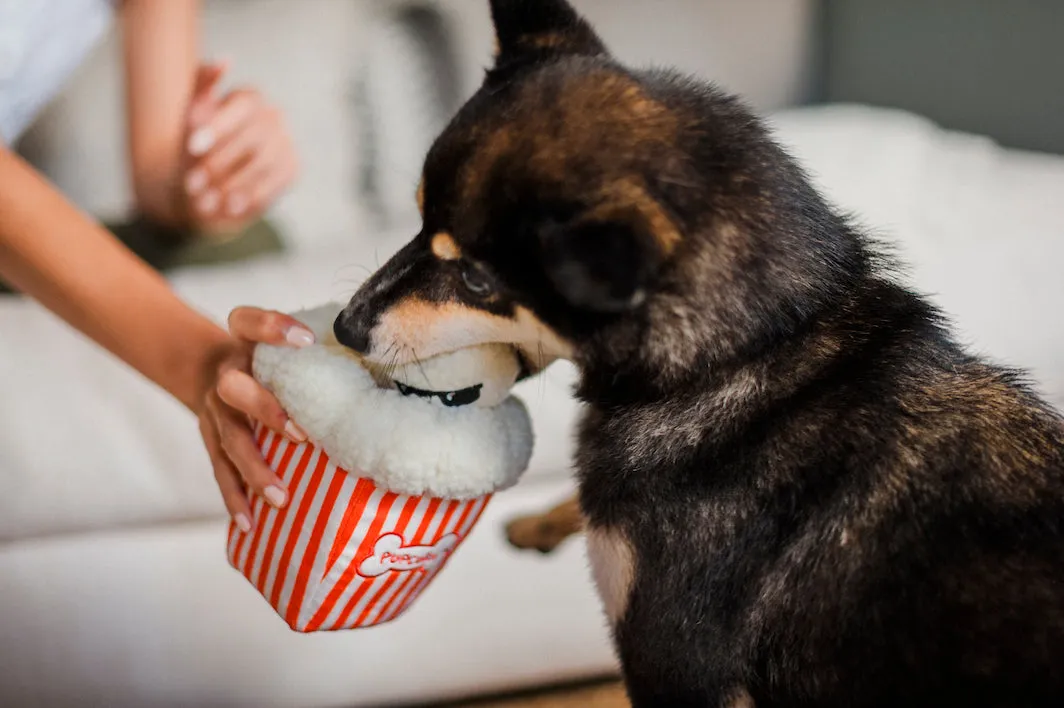 Hollywoof Cinema Collection
