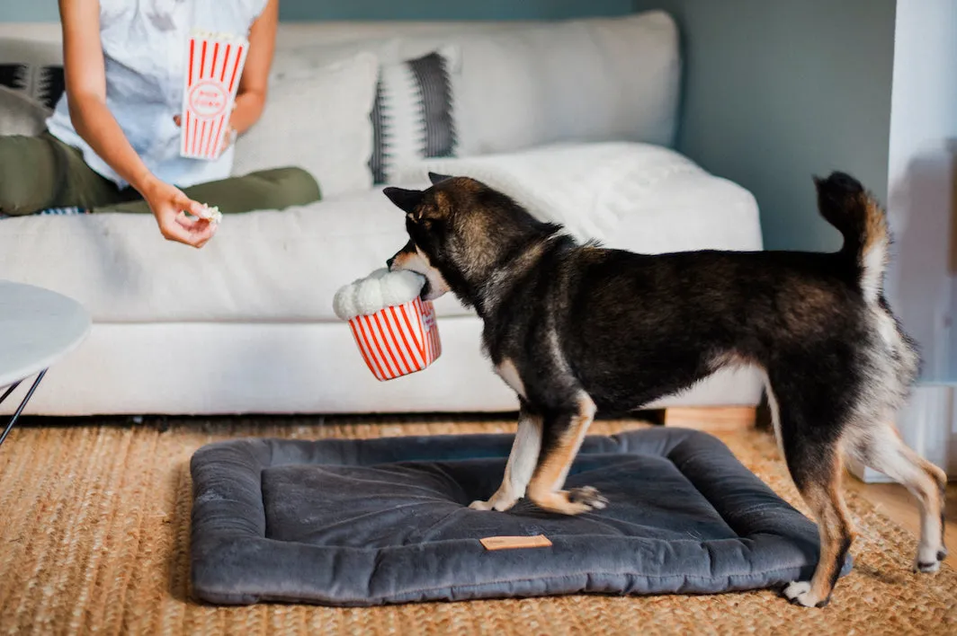 Hollywoof Cinema Collection