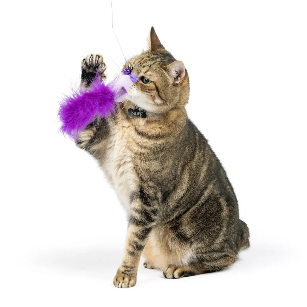 Huxley & Kent Purple Birdy Feathers Refill Cat Toys 2pk