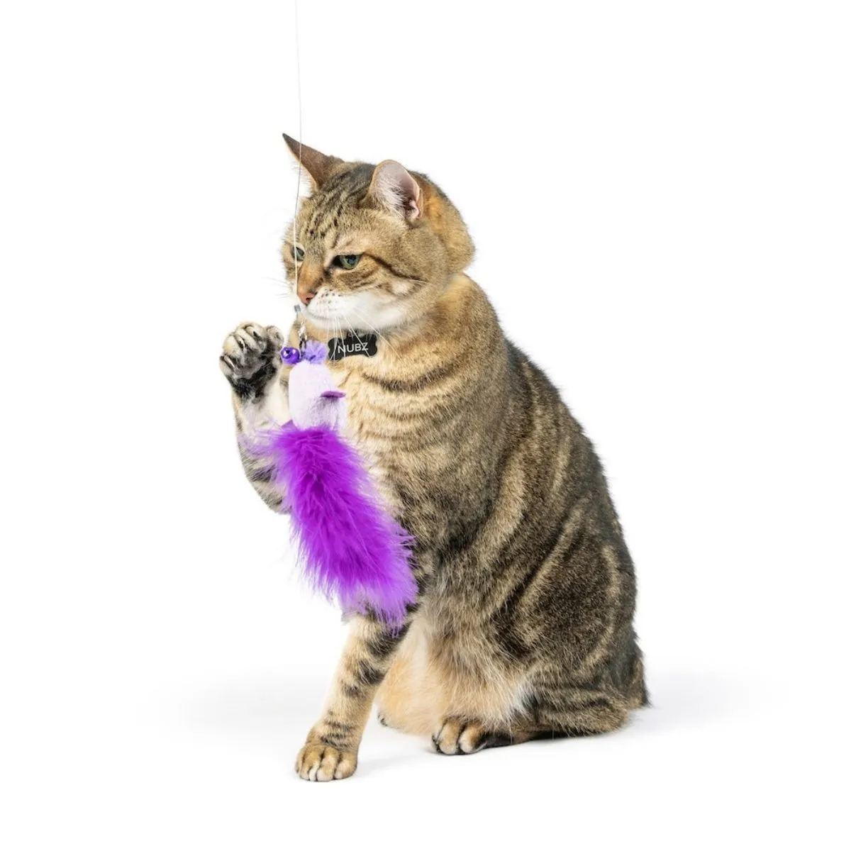Huxley & Kent Purple Birdy Feathers Refill Cat Toys 2pk