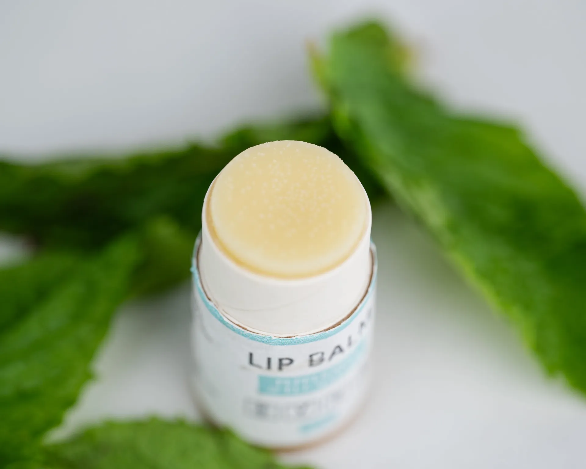 Hydrating Lip Balm Bundle | Set of 5 Soothing Lip Balms