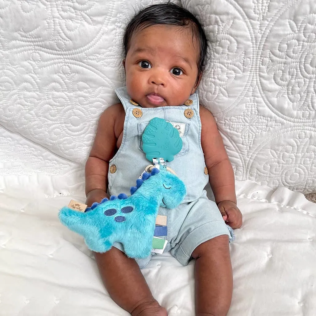 Itzy Ritzy Itzy Pal  Plush   Teether
