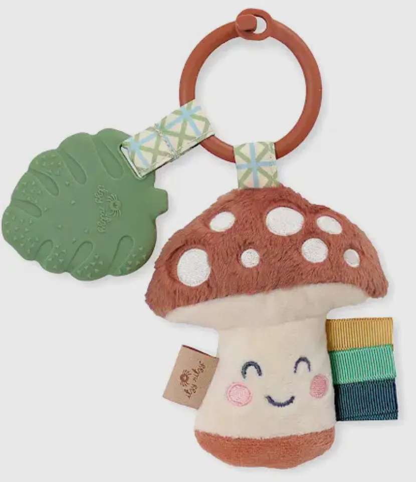 Itzy Ritzy Pal Plush   Teether