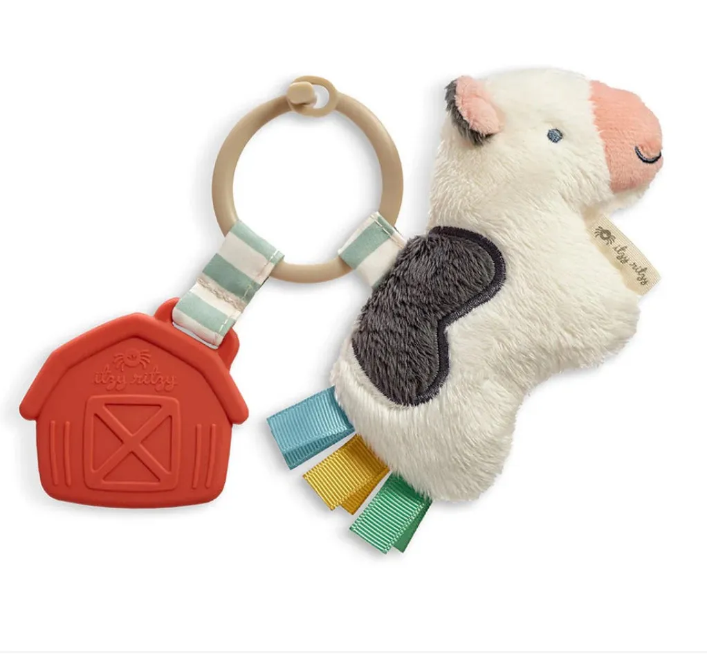Itzy Ritzy Pal Plush   Teether