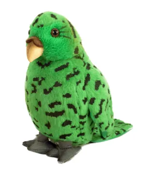 Kakapo With Sound Bird