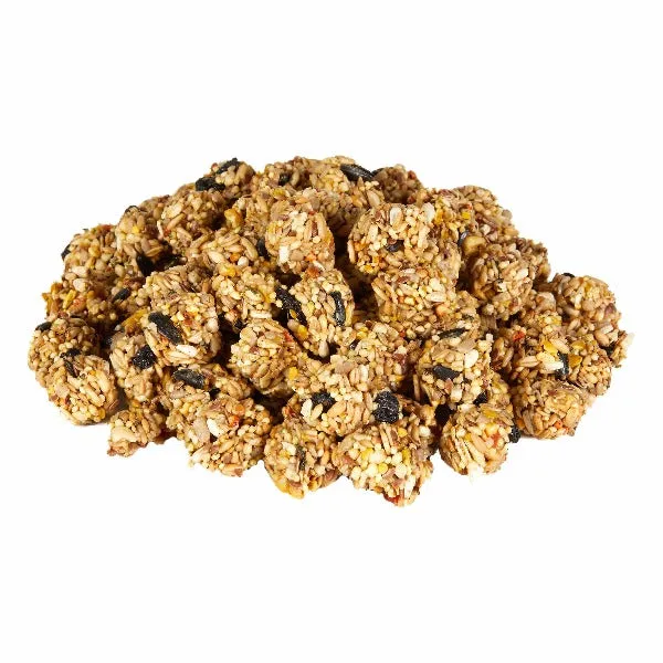 Kaytee Granola Bites with Superfoods Blueberry & Flax