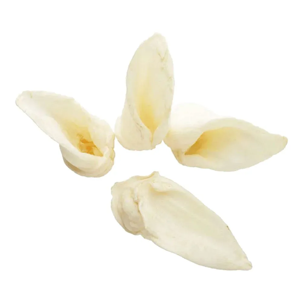 Lamb Ear Dog Chew - Individual