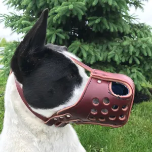 Leather Multipurpose Muzzle