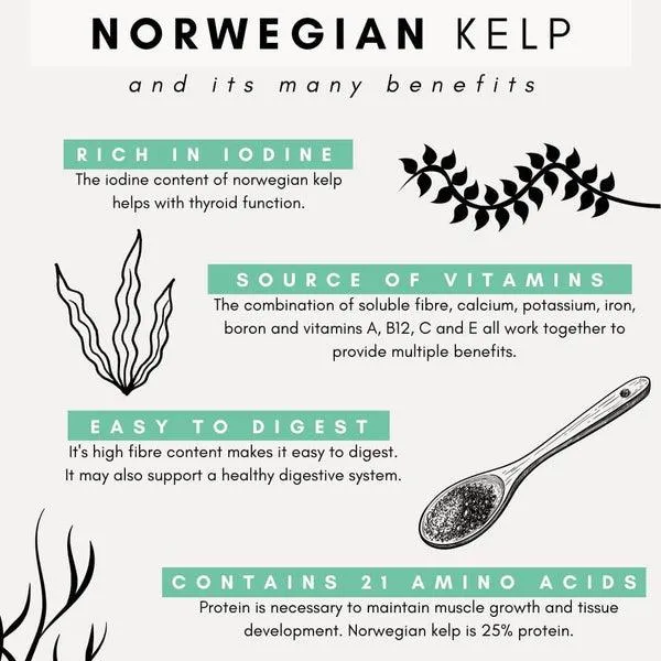 Natural Dental Kelp for Cats - 90 Scoops