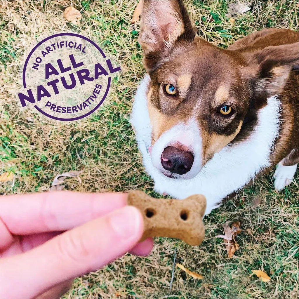 Old Mother Hubbard Grain-Free Mini P-Nuttier 'N Nanners Peanut Butter & Banana Flavored Dog Treats, 16-oz