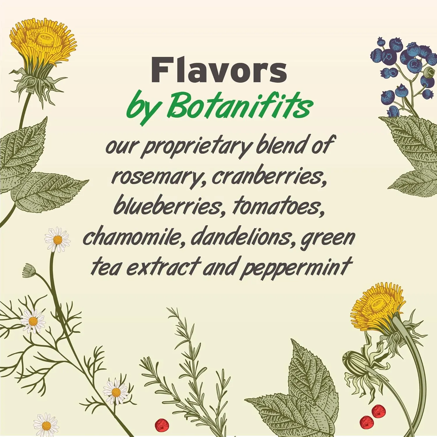 Pet Botanics Training Rewards Mini Soft & Chewy Bacon Flavor Dog Treats