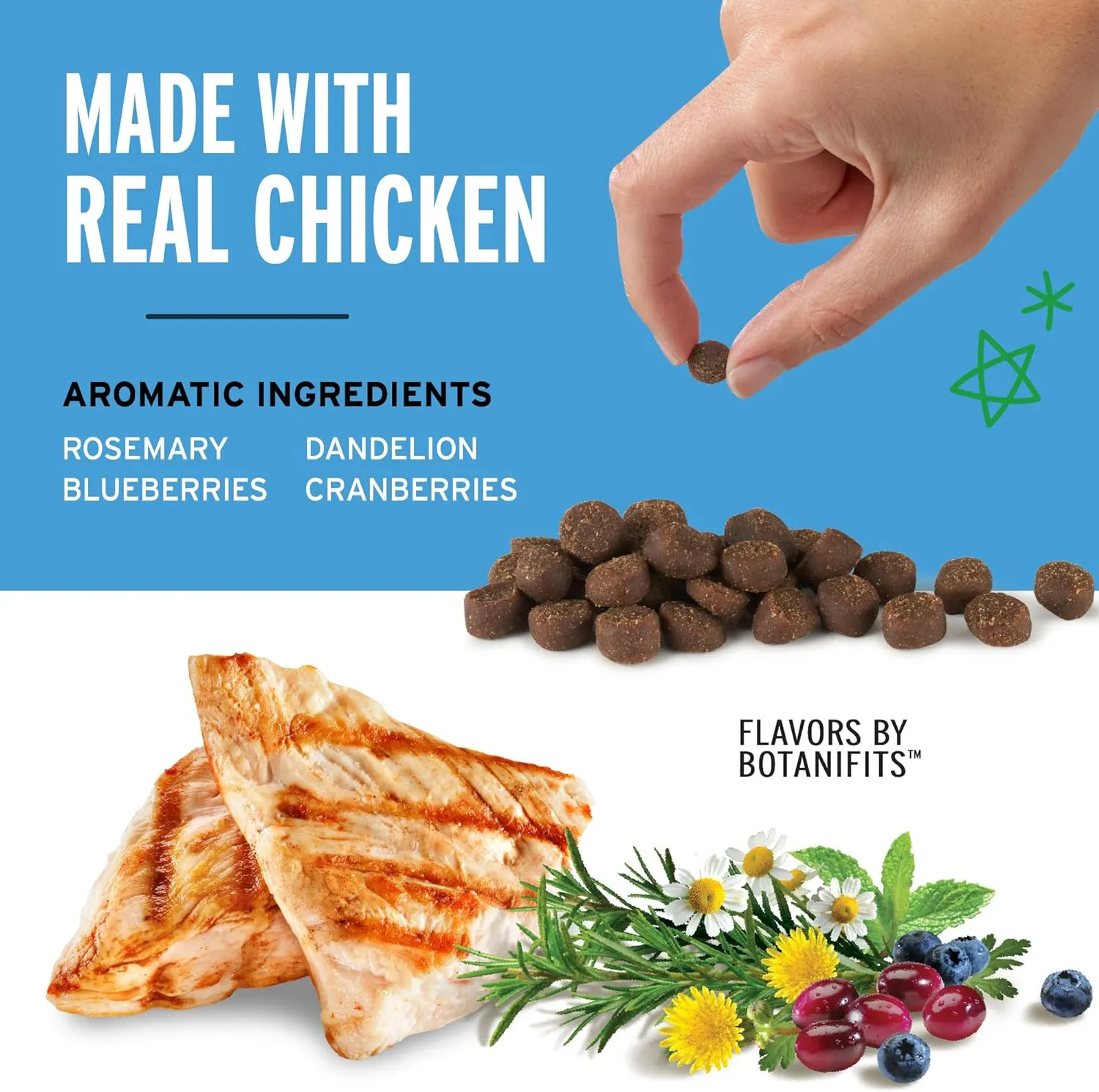 Pet Botanics Training Rewards Mini Soft & Chewy Chicken Flavor Dog Treats
